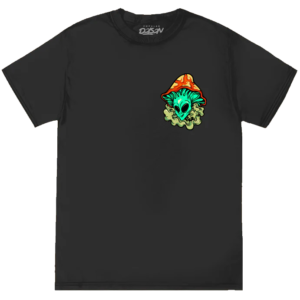 import placeholder for 8856